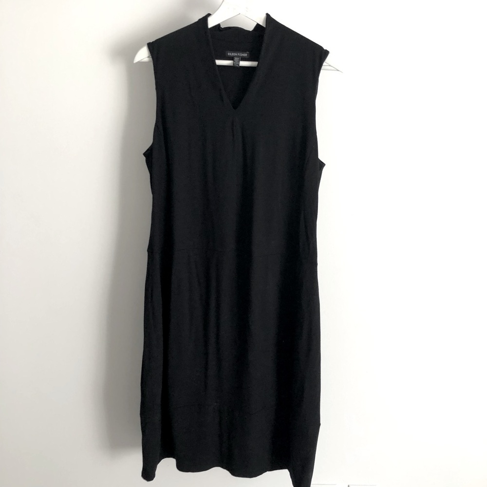 Eileen Fisher Dress